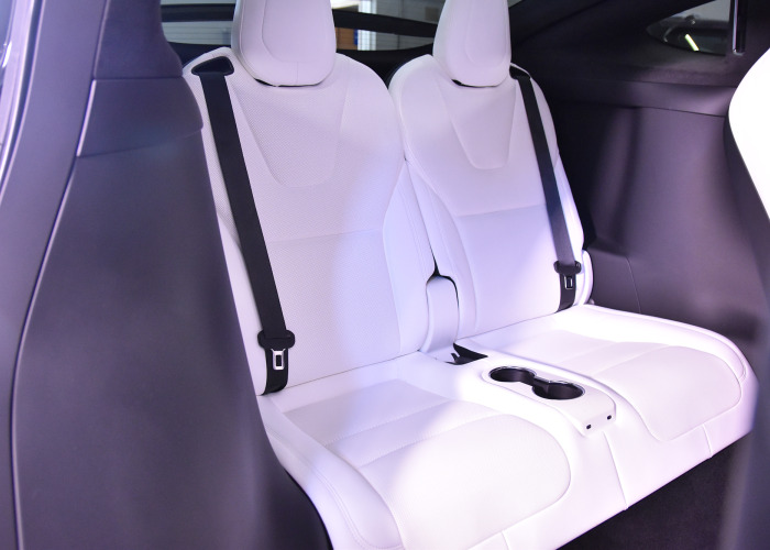 TESLA X